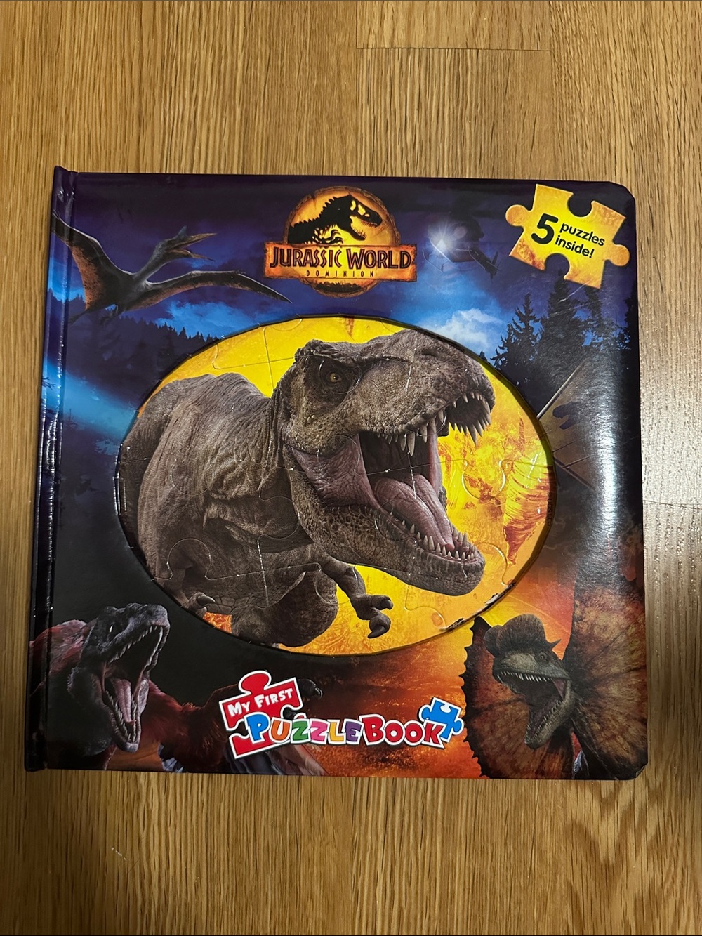 My First Puzzle Book